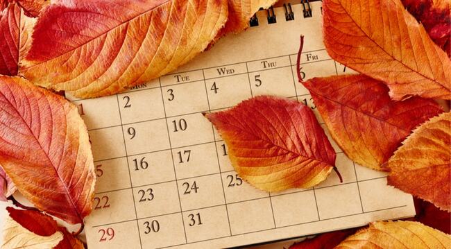 Autumn Calendar Check