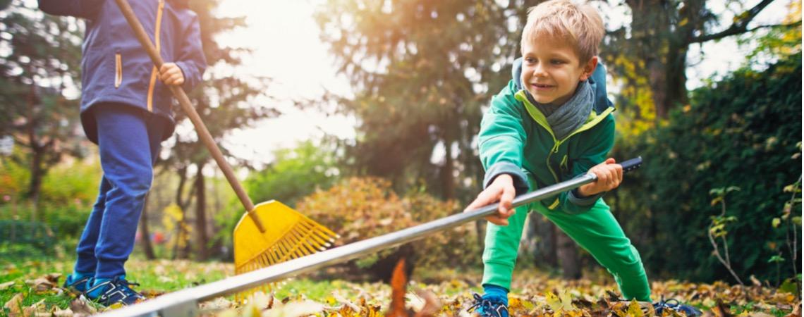 Fall cleaning checklist